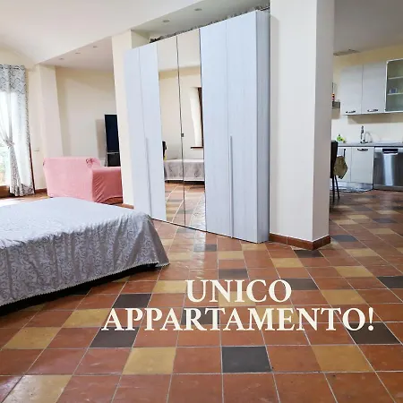 Abete Azzurro Con Piscina *