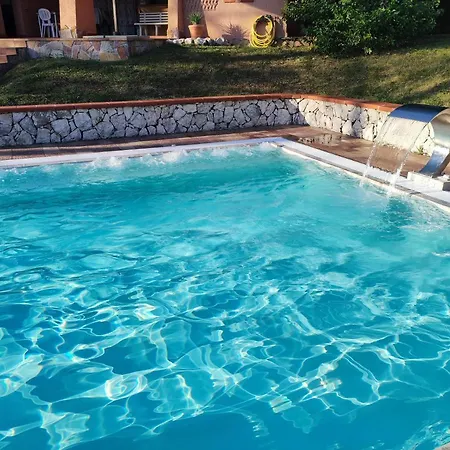 Abete Azzurro Con Piscina