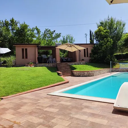 Abete Azzurro Con Piscina